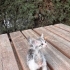 Bonibonlara ömürlük yuva :) fotoğraf