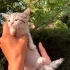 Bonibonlara ömürlük yuva :) fotoğraf