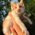 Bonibonlara ömürlük yuva :) fotoğraf