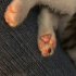 oyuncu bebişimize yuva arıyoruz fotoğraf