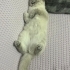 Kızımıza yuva arıyoruz fotoğraf