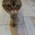 Prensese acil yuva 2.5 yaşında fotoğraf