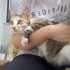 KISIR KIZIMIZ AFRODİT YUVA ARIYOR fotoğraf