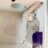 Acil ücretsiz scottishfold ömürlük yuvasını arıyoruz fotoğraf