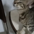 Çok sevecen kucak delisi fotoğraf