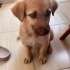 Yavrumuza acil yuva arıyoruz fotoğraf