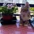 Sevgi yumagi bebege yuva ariyoruz fotoğraf