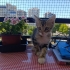 Sevgi yumagi bebege yuva ariyoruz fotoğraf