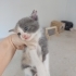 Gökkuşağı renklerinde bebeler fotoğraf