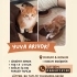 🐾 SARMAN BEBEĞE ACİL YUVA ARANIYOR! (ESKİŞEHİR) 🐾 fotoğraf