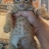 Miniklere ömürlük yuvalar aranıyor fotoğraf