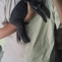 bu gri toz topuna yuva olun fotoğraf