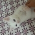 Pamuk kızımıza yuva fotoğraf