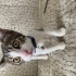 Ömürlük yuva🐾🥹 leoya fotoğraf