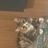 Sevgi dolu minik kıza yuva arıyoruz fotoğraf