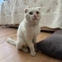 Bu yavruyu sokakta bulduk fotoğraf