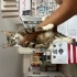 Yuva arıyoruz 🐈 fotoğraf