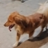 ÖMÜRLÜK YUVA ACİL fotoğraf