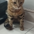 GÖRME ENGELLİ OĞLAN YUVA ARIYOR fotoğraf