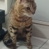 GÖRME ENGELLİ OĞLAN YUVA ARIYOR fotoğraf