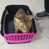 GÖRME ENGELLİ OĞLAN YUVA ARIYOR fotoğraf