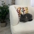 Prensesimiz yuvasini ariyor fotoğraf