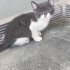 Muğla Bodrum depoda yasiyorlar fotoğraf