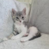 RENKLERİ DE HUYU DA HARİKA OĞLUNUZ ÇİFT DOZ KARMA AŞILI fotoğraf