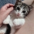 Kedinizle dötle don gibi olmak ister misiniz hamur tam da bunun için var 🥰😬 fotoğraf
