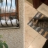 Çok acil yuva Ankara fotoğraf