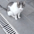 Sevecen çok tatlı fotoğraf