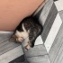 sırnasık sakinm oyuncu fotoğraf
