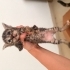 6 bebeğe ömürlük yuvalarını arıyoruz fotoğraf