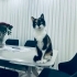 5 yıldır bakan ailesi artık çocuğu olduğu için artık bakmak istemiyor. fotoğraf