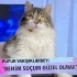 BENİM SUÇUM GÜZEL OLMAK fotoğraf