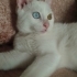 İZMİR SAHİBİ KANSER HASTASI fotoğraf
