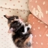 Güzel kızımıza yuva arıyoruz fotoğraf