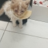 Kör bebek yuvasını bekliyor fotoğraf