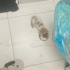 Kör bebek yuvasını bekliyor fotoğraf