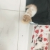 Kör bebek yuvasını bekliyor fotoğraf