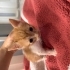 1 aylık erkek bebiş fotoğraf