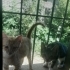 Bak oğlumuza acil yuva izmit fotoğraf