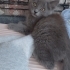 Ruhi kuşuma yuva fotoğraf