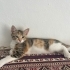 Bana yuva olurmusun fotoğraf