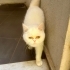 Bu kizimiza acil guzel bir yuva fotoğraf