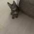ACİL YUVA KARDEŞLERE fotoğraf