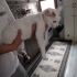 Angora Kedisi 1 Yaşında Dişi fotoğraf