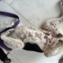 ACİL GEÇİCİ-KALICI YUVA fotoğraf