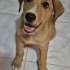 Çok zeki ve sevgi dolu bir dost 💖🌸 fotoğraf