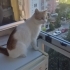 Evine Bağlı Aile Dostu fotoğraf